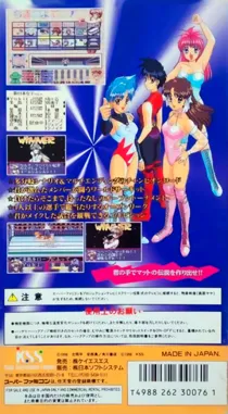 Bishoujo Wrestler Retsuden - Blizzard Yuki Rannyuu!! (Japan) box cover back